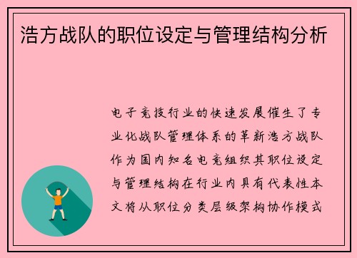 浩方战队的职位设定与管理结构分析